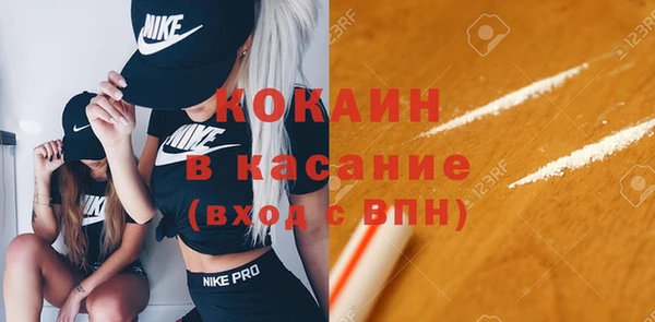 первитин Богданович