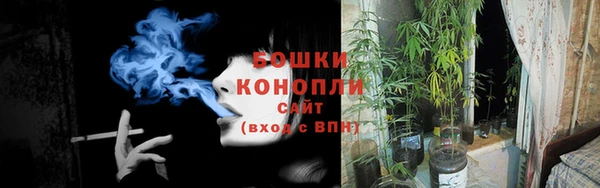 индика Белокуриха