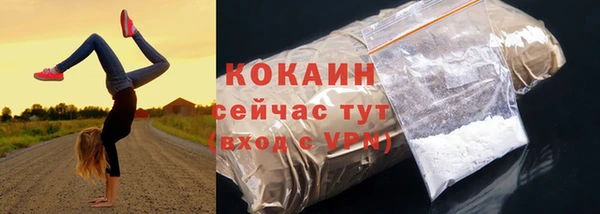 СК Богородицк