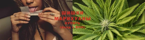 СК Богородицк