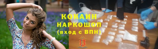 первитин Богданович