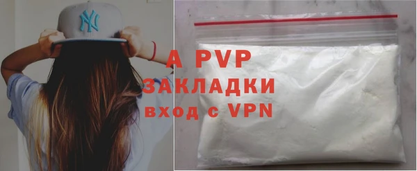 индика Белокуриха