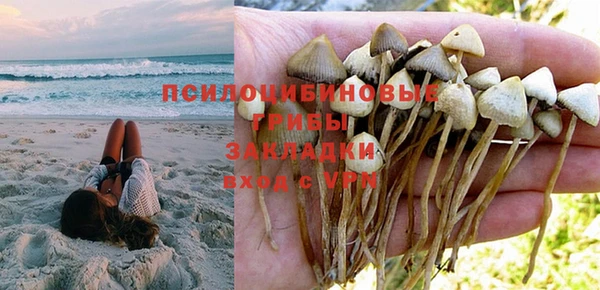 индика Белокуриха