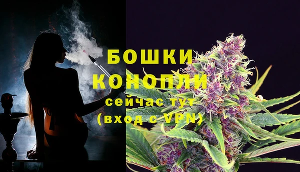 индика Белокуриха