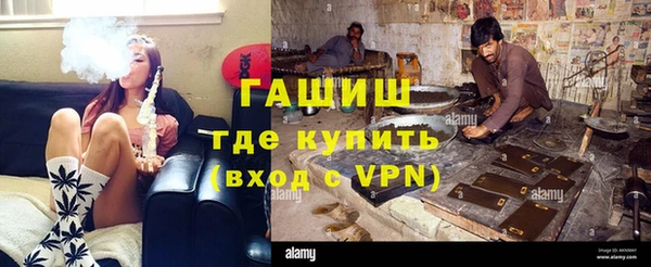индика Белокуриха