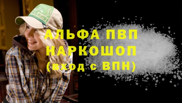 СК Богородицк