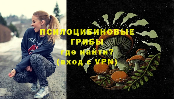 круглые Богородск
